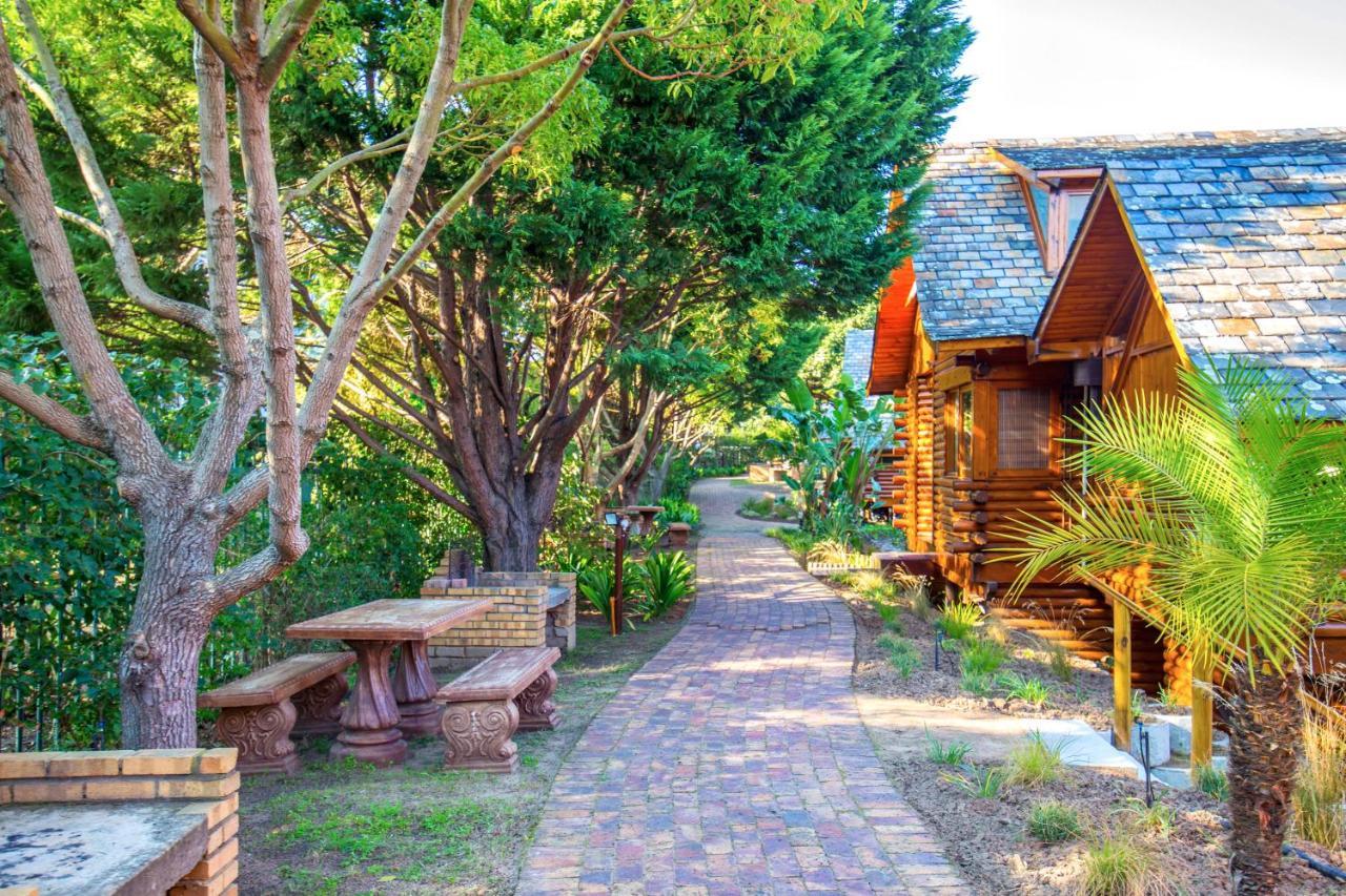 Abalone Lodges Knysna Dış mekan fotoğraf