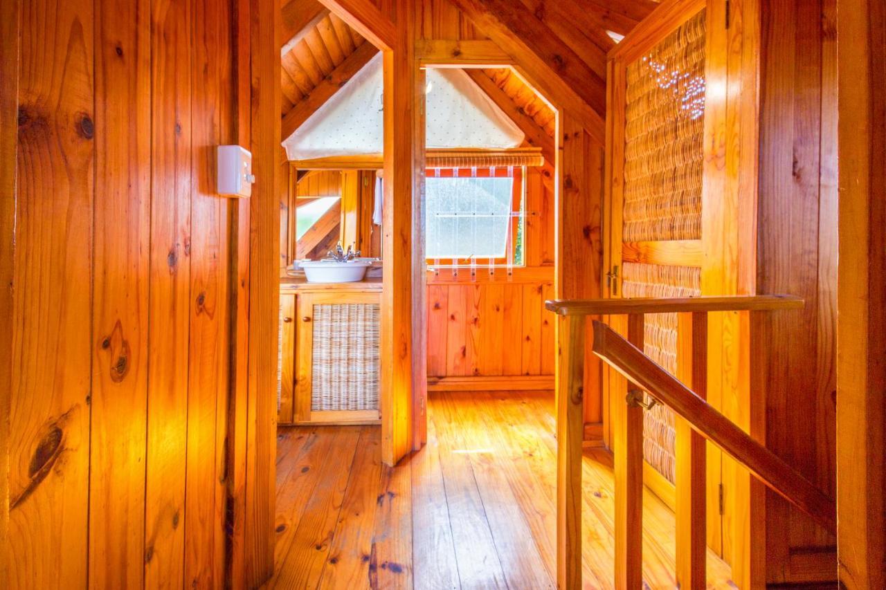 Abalone Lodges Knysna Dış mekan fotoğraf